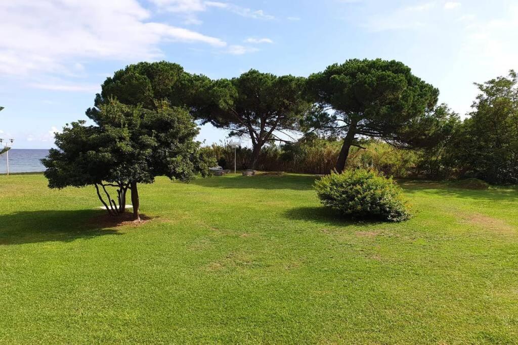 Studio Bord De Mer - Piscine - Plage San-Nicolao Exterior photo